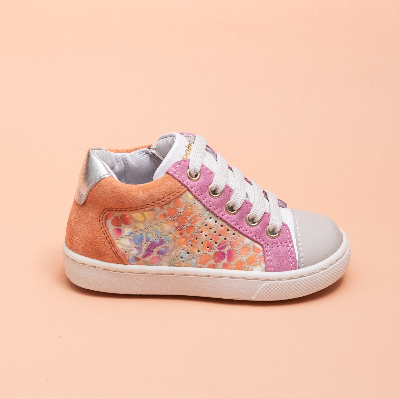 AURORA-MULTI (512-231)